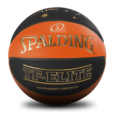 Spalding Premium Basketball TF-1000
